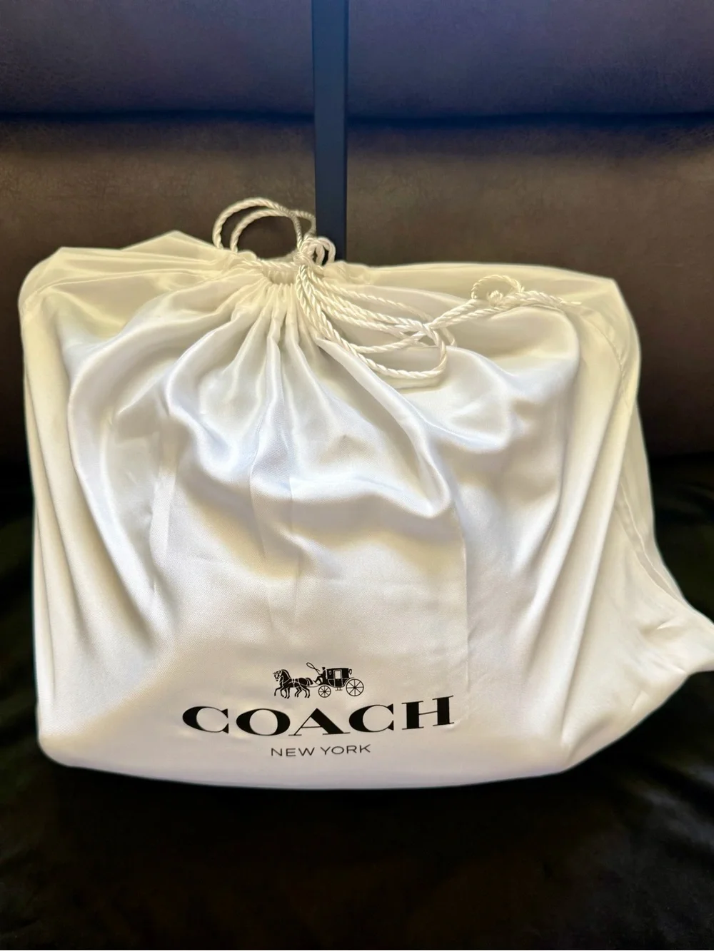 Coach Black Leather Shoulder Hobo Bag with Silver Hardware